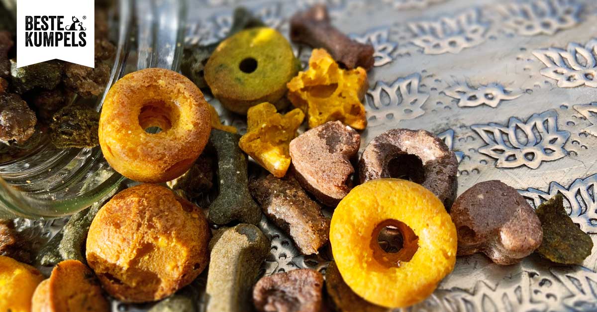 Glutenfreie Leckerlies mit Kürbis & Ziegenkäse