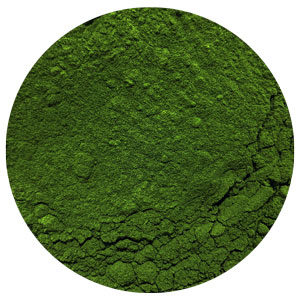 Phytoplankton für Hunde
