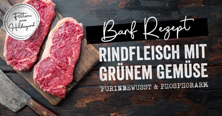 BARF Rezept für Nierendiät
