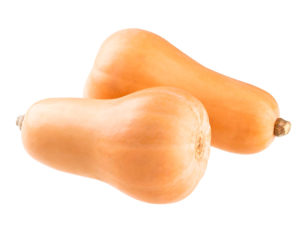 Butternuss Kürbis für Hunde