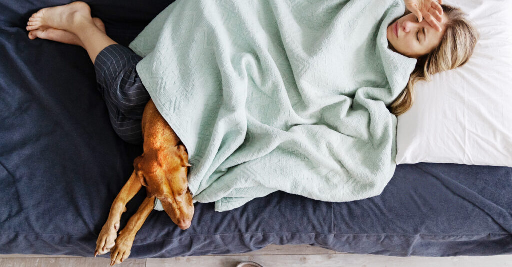 Erkältung beim Hund