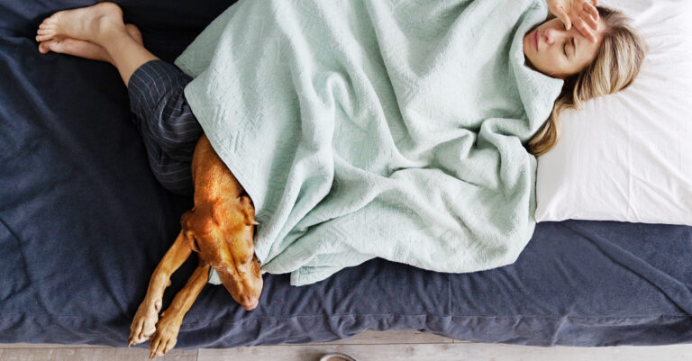 Erkältung beim Hund