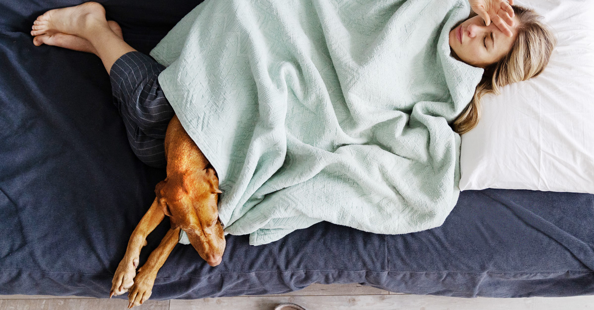 Erkältung beim Hund