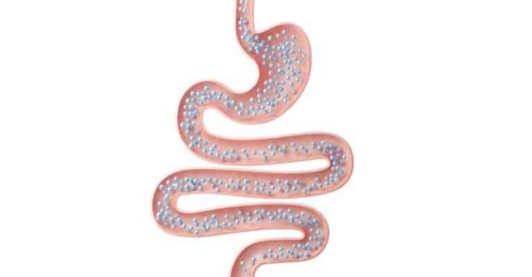 Schleim im Hundekot: Ursachen, Symptome und Behandlung