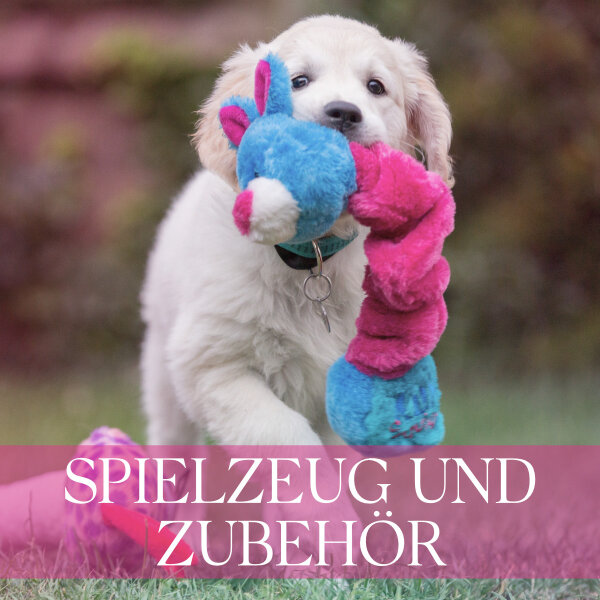 Hundespielzeug & Hundezubehr fr deinen Hund | Beste Kumpels