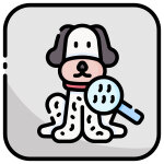 Haut- und/oder Allergieprobleme