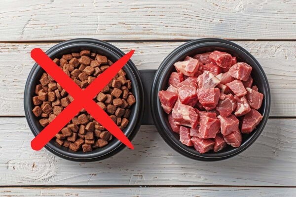 BARF Rezept für Hunde - BARF Rezept für Hunde: Die Zutaten