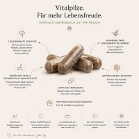 Vitalpilze für Hunde: Hildegards 7 Wonders
