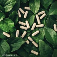 Hildegard Enzyme (60 Kapseln)