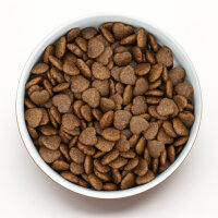 Gastrointestinal Trockenfutter für Hunde Vetline (10 kg)