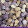 Hildegards Hafergebäck Leberwurstbällchen mit Wildheidelbeeren (125 g)